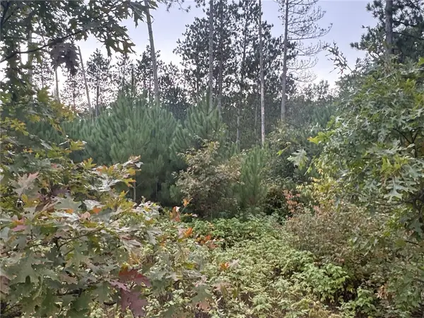 TBD Hayden Lake Road, Danbury, WI 54830