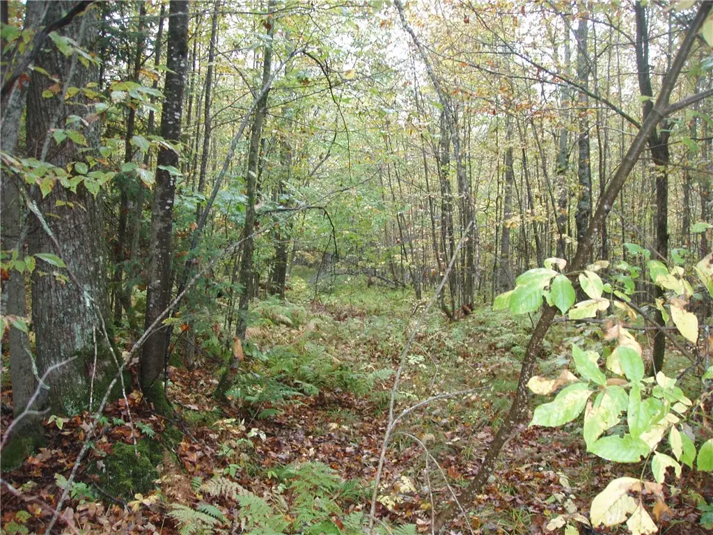 80+/- Acres On Bass Lake Road, Park Falls, WI 54552 - Image #1