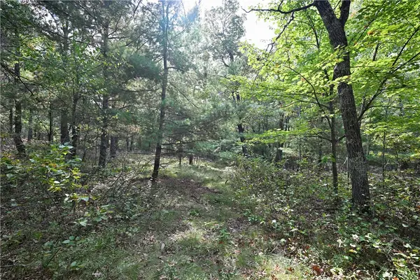 Lot 2 Dragon Drive, Minong, WI 54859