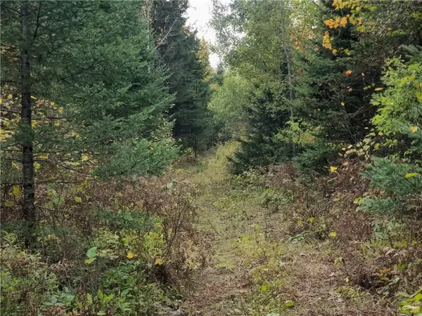 72429 Bear Lake Road, Butternut, WI 54514