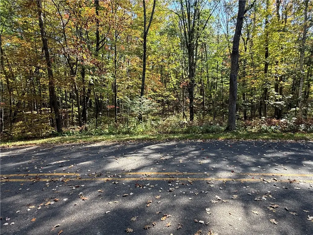 XXX Deep Lake Road, Sarona, WI 54870 - Image #1