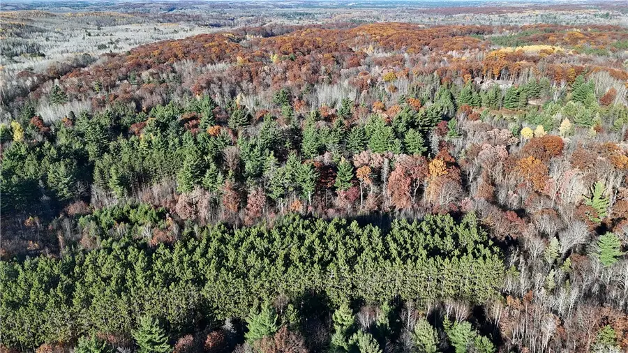 tbd Bean Brook Lane, Bass Lake, WI 54875 - Image #3