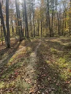 2728 28 3/8 Street, Birchwood, WI 54817 - Image #2