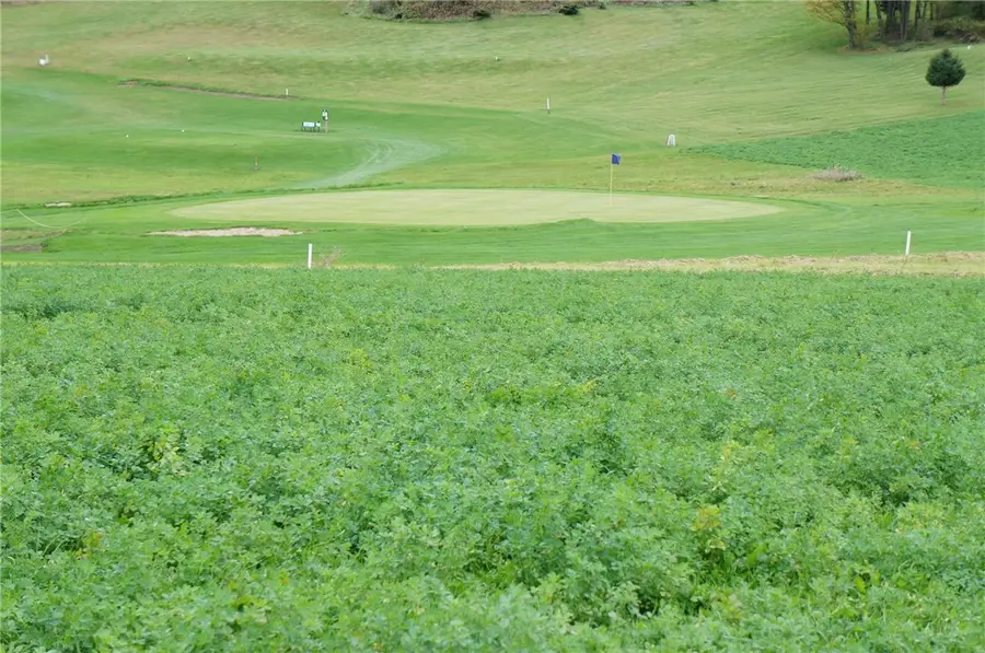 1361 Valley Estates Road, Mondovi, WI 54755 - Image #2