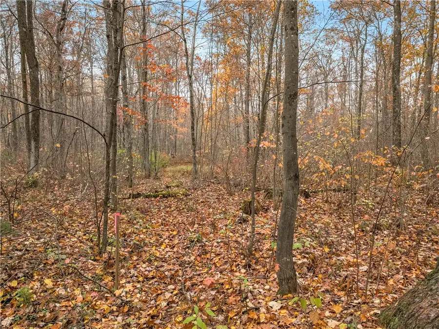 0 Dream Catcher Rd, Hayward, WI 54843 - Image #3