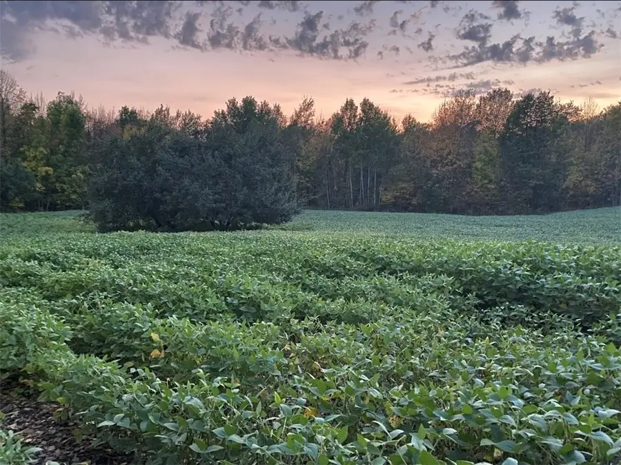 xxx County Road D, Cornell, WI 54732 - Image #2