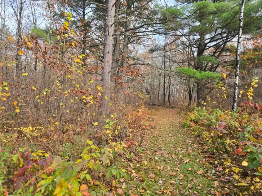 Lot 41 Fat Tire Lane, Hayward, WI 54843 - Image #2