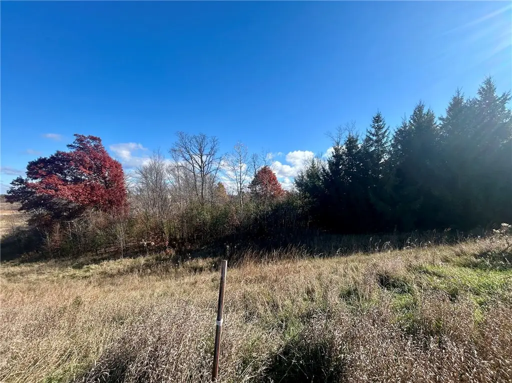 TBD 125th Street, Amery, WI 54001 - #1