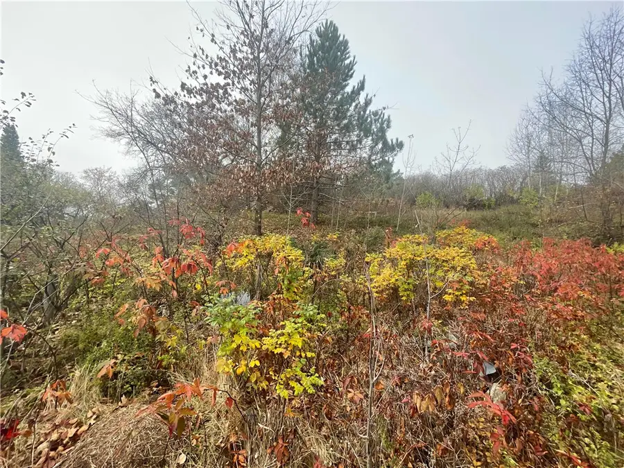 N14019 Linden Avenue, Fifield, WI 54524 - Image #2