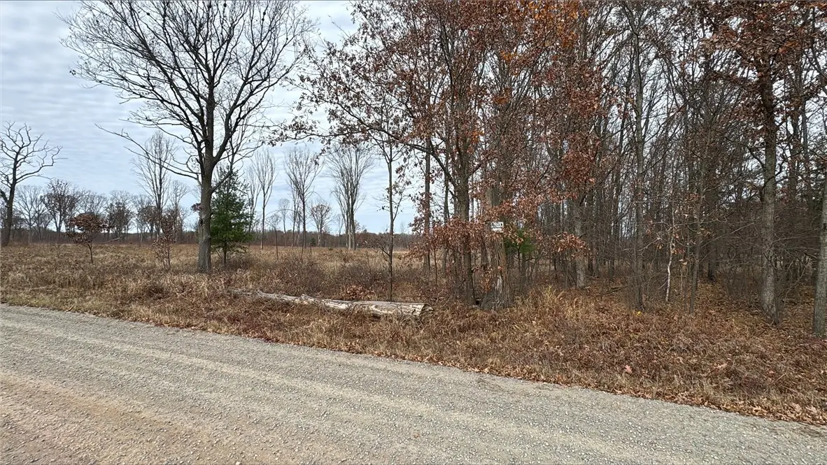 OOO County Rd. W, Granton, WI 54436 - Image #1