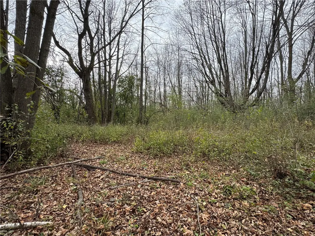 1410 Agnes Avenue, Ladysmith, WI 54848 - Image #1