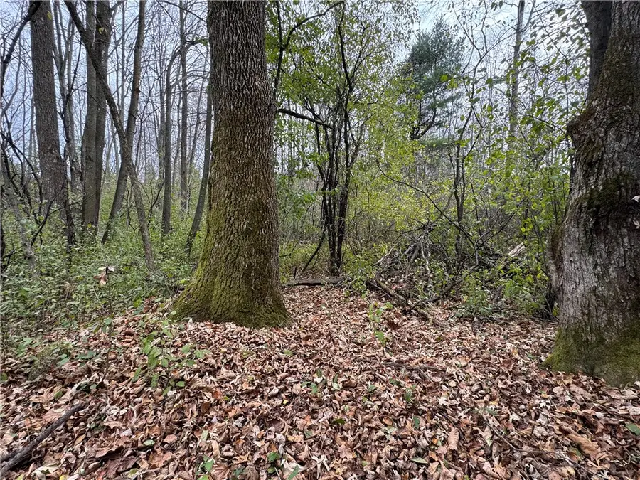 1410 Agnes Avenue, Ladysmith, WI 54848 - Image #3