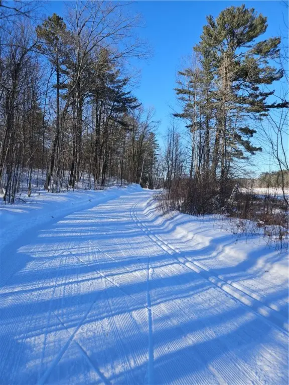 Lot 65 Vasa Road, Hayward, WI 54843 - Image #3