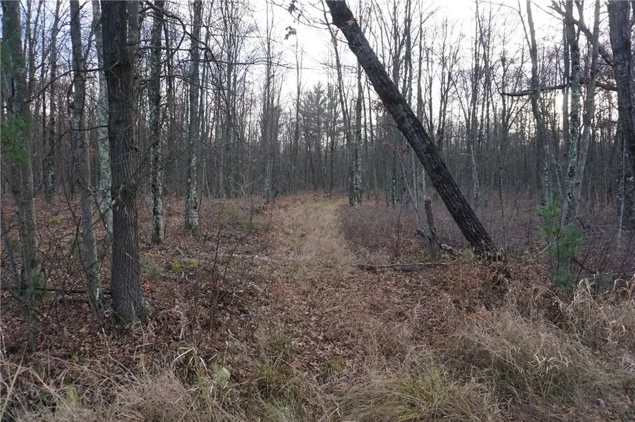 000 Birch Ln, Nekoosa, WI 54457 - Image #2