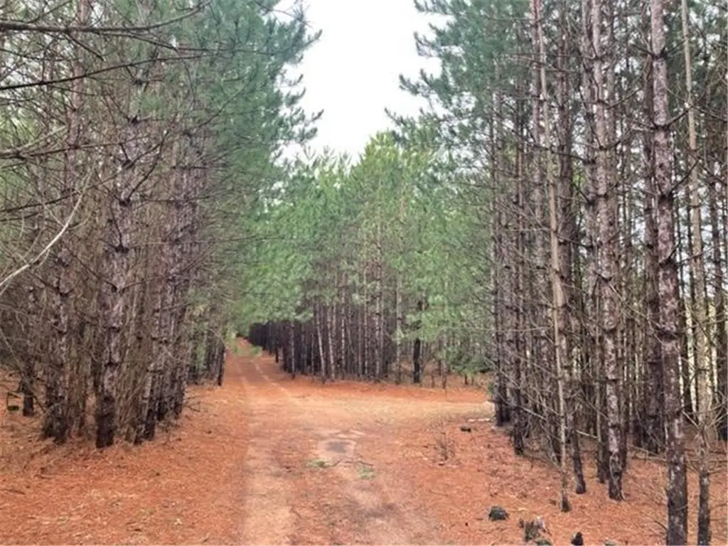 XXX Hay Creek Boulevard, Grantsburg, WI 54840 - #1