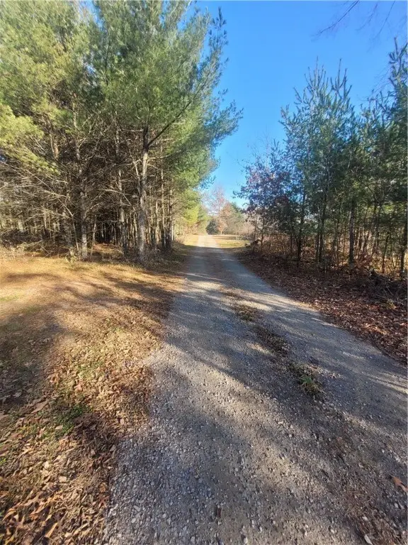 0 Lower Lake Dr, Merrillan, WI 54754 - Image #2