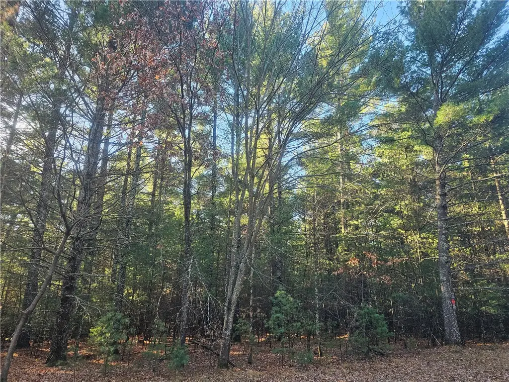 XXX Harmon Avenue E, Grantsburg, WI 54840 - #1