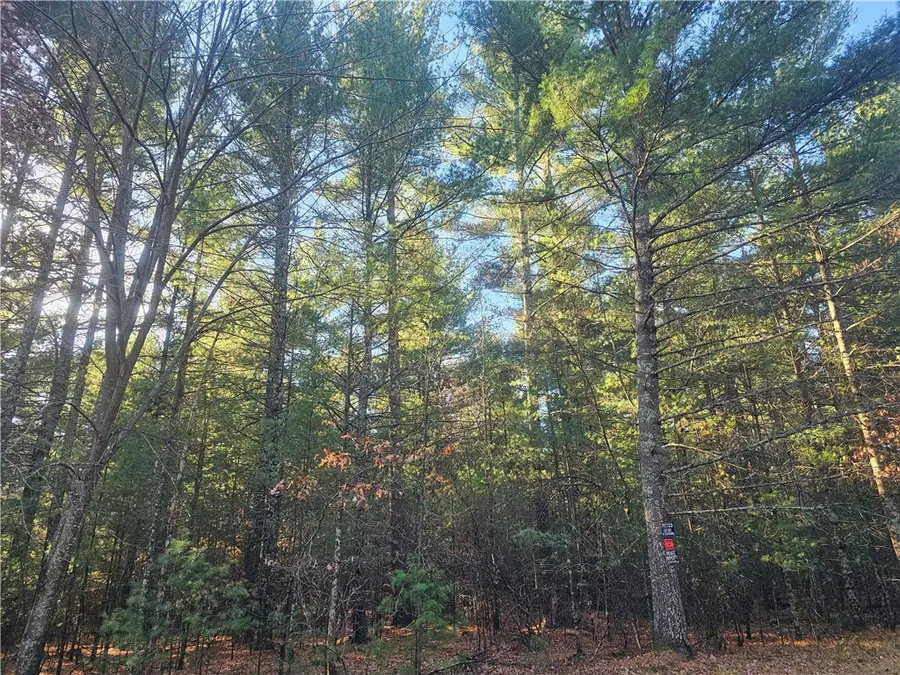 XXX Harmon Avenue E, Grantsburg, WI 54840 - #2