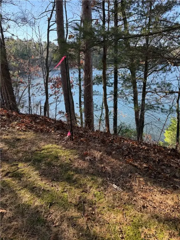 Lot 1 Hwy 70, Stone Lake, WI 54876 - Image #1