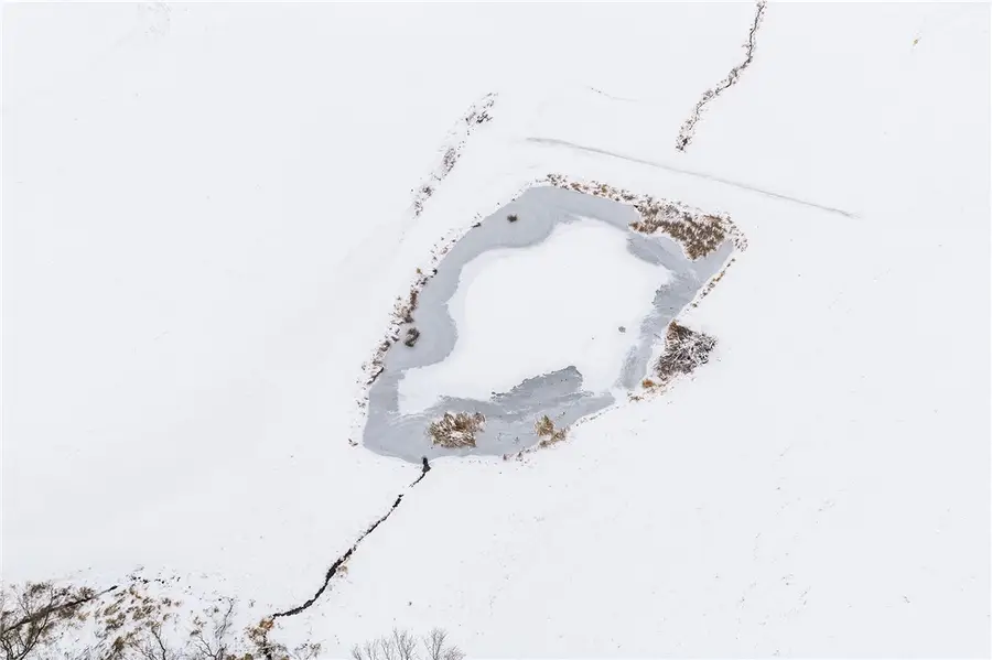 Lot 3 State Rd 95, Arcadia, WI 54612 - Image #2