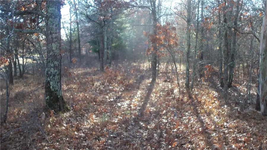 LOT 5 Mclain Rd, Grantsburg, WI 54840 - #3