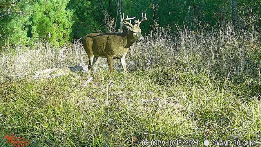 W10979 County Highway B, Humbird, WI 54746 - Image #2