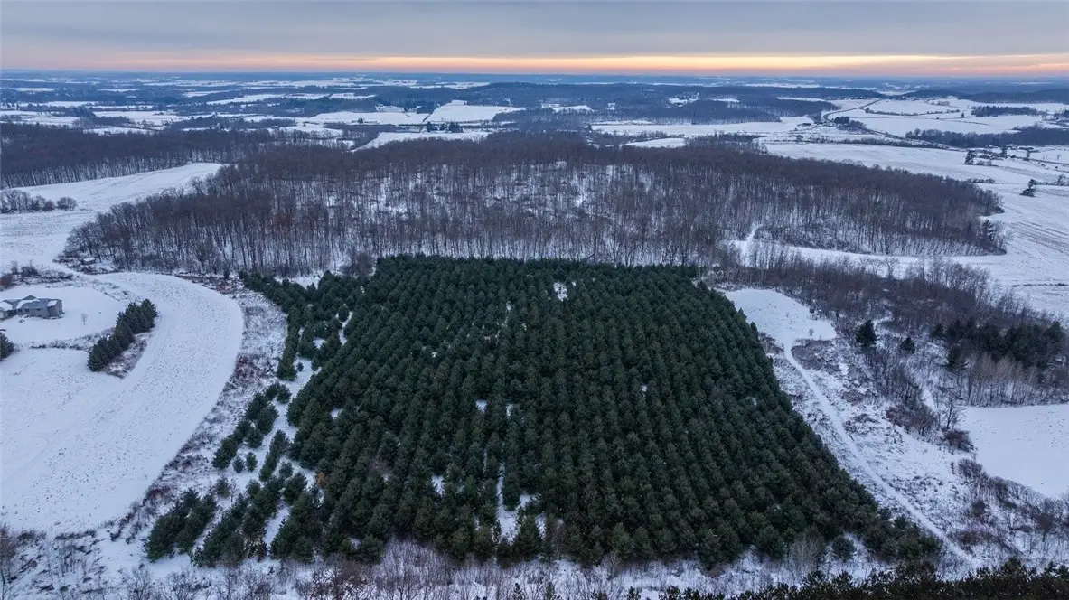 0 6 1/2 Avenue, Hillsdale, WI 54733 - #1