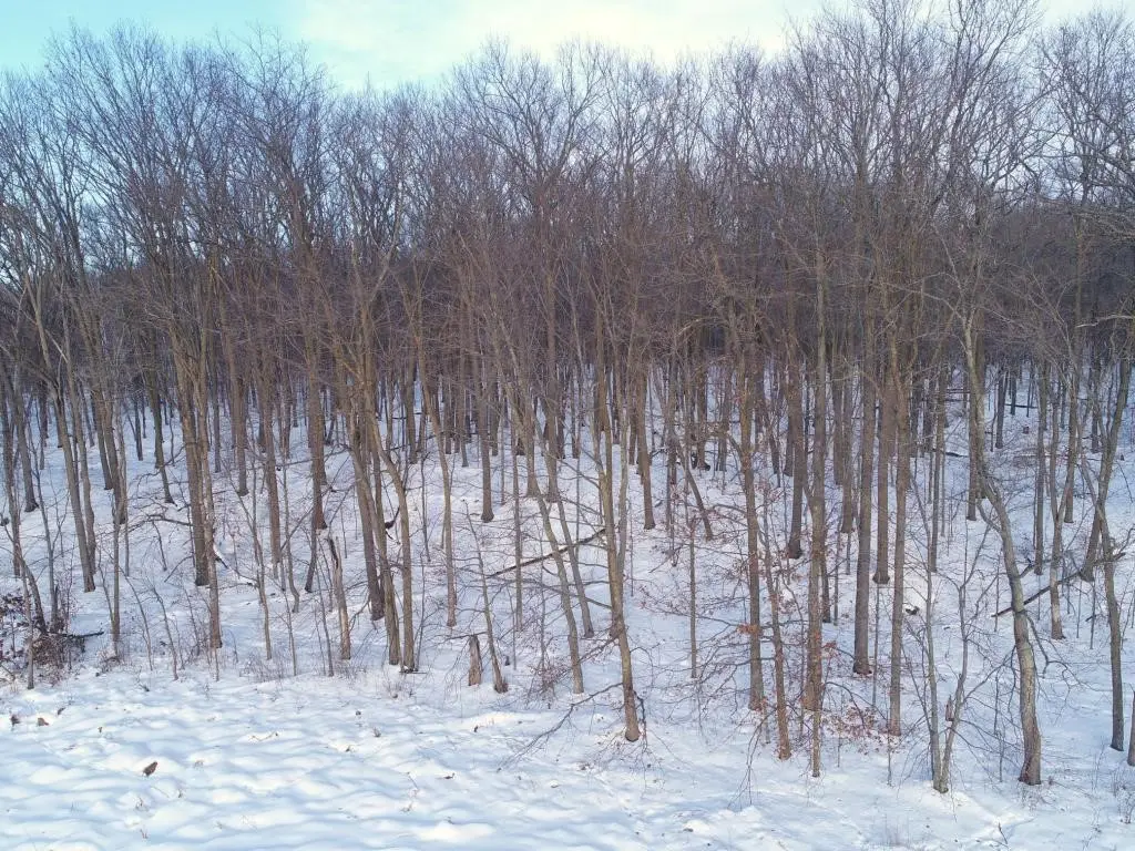 158AC 110th Street, Frederic, WI 54837 - #1