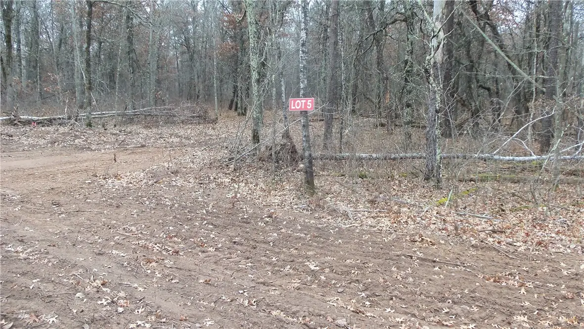 Lot 5 Canute Creek Trl, Grantsburg, WI 54840 - Image #1