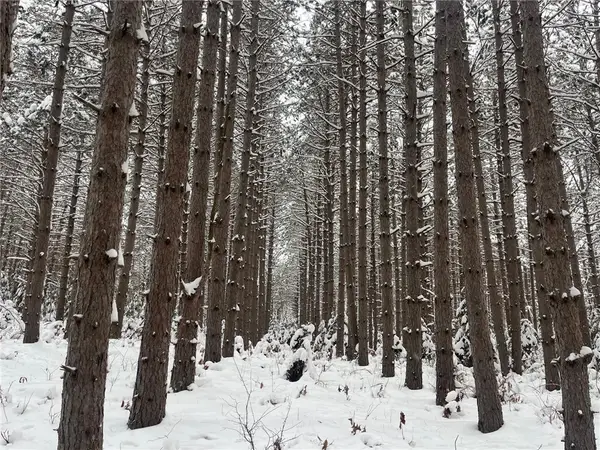 29931 Minerva Road, Danbury, WI 54830