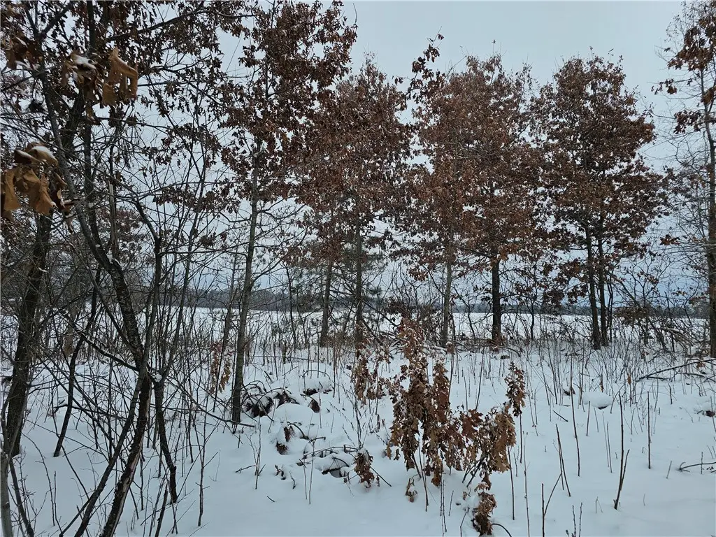 0 County Highway E Lot 1, Elk Mound, WI 54739 - Image #1