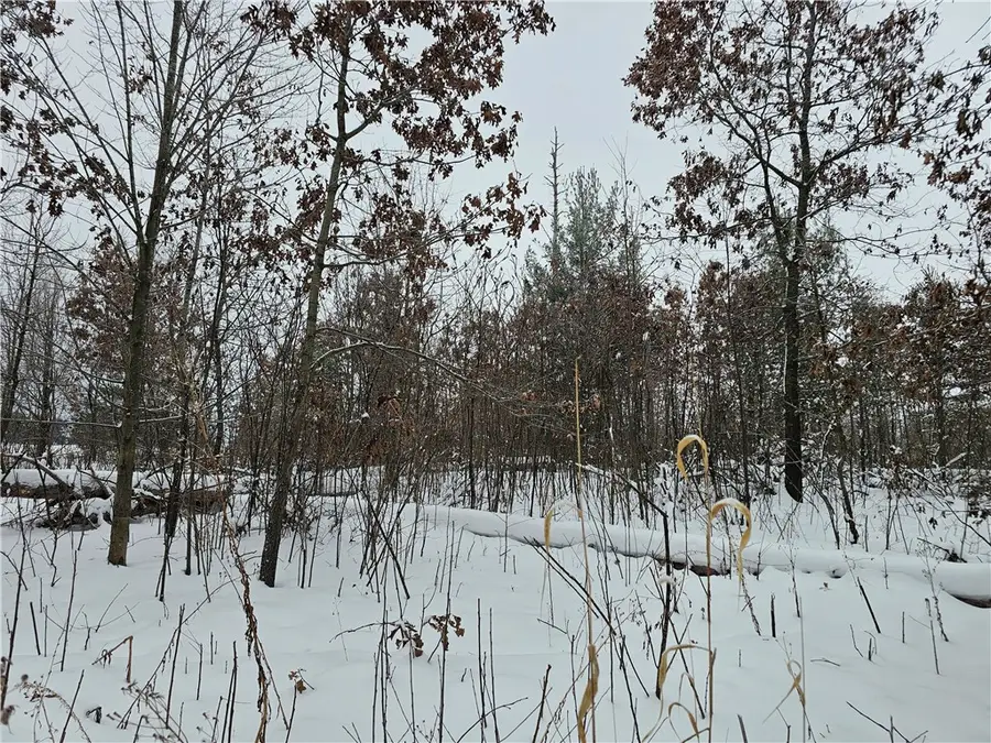 0 County Highway E Lot 1, Elk Mound, WI 54739 - Image #2