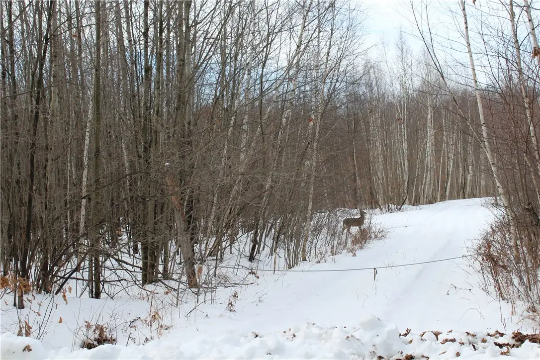 000 Badger Avenue, Granton, WI 54436 - Image #1