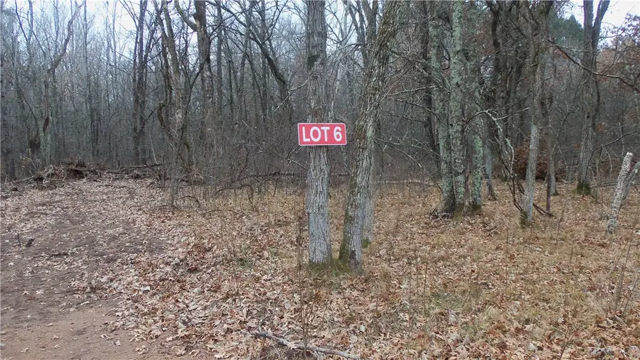 Lot 6 Canute Creek Trl, Grantsburg, WI 54840 - #2