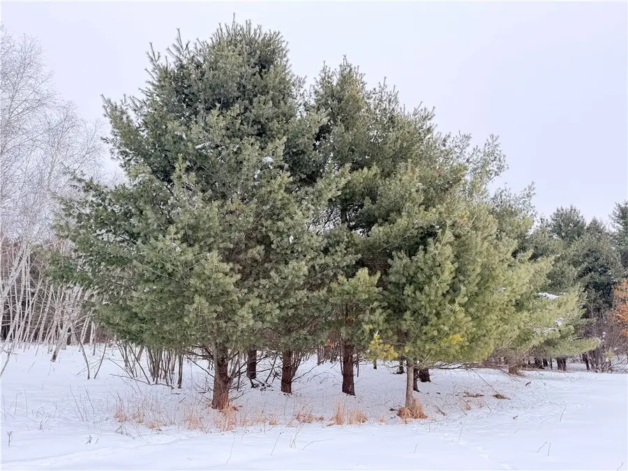 0 30th Avenue, Rice Lake, WI 54868 - Image #3