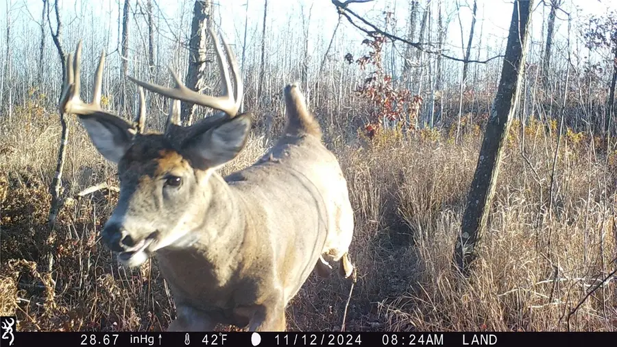 1581 50th Street, Turtle Lake, WI 54889 - Image #2