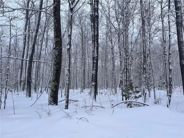 Lot 4 N Scarlet Tanager Lane, Hayward, WI 54843