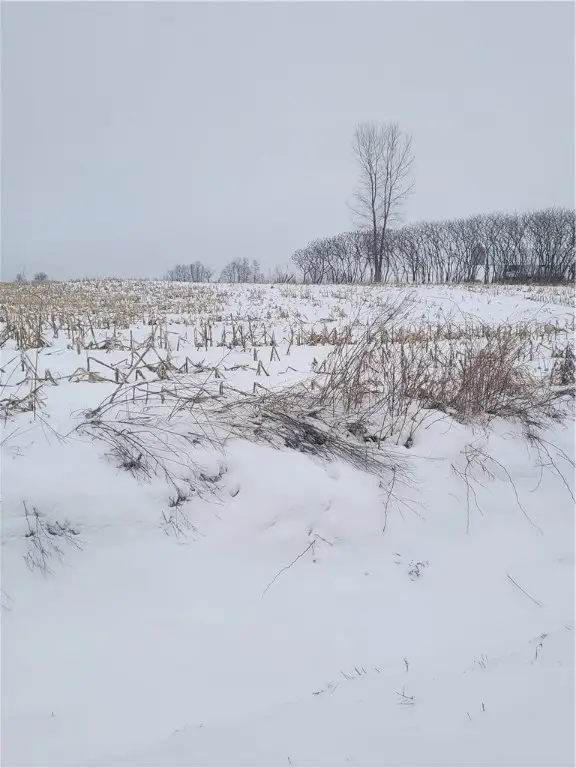 000 County Hwy B Lot 3, Neillsville, WI 54456
