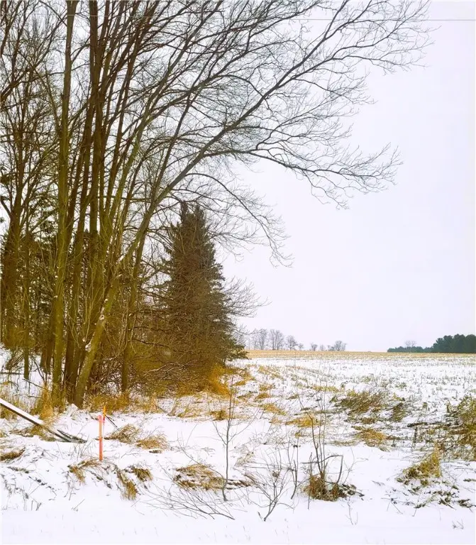 0000 County Hwy B Lot 4, Neillsville, WI 54456 - Image #1