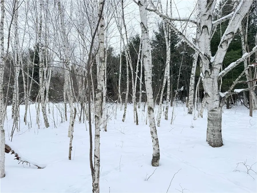 0 Star Lake Road, Rice Lake, WI 54868 - Image #3