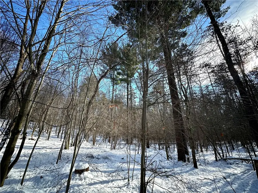 N7897 N 780th Street, Colfax, WI 54730 - Image #3