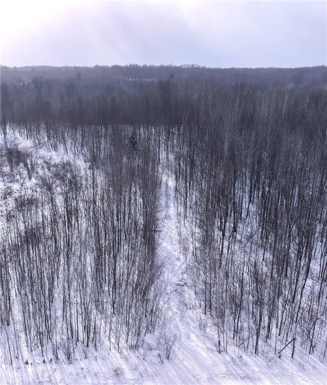 00 155th Ave, Boyd, WI 54726 - Image #1