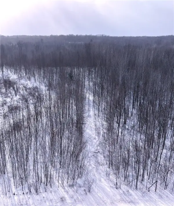 00 155th Ave, Boyd, WI 54726