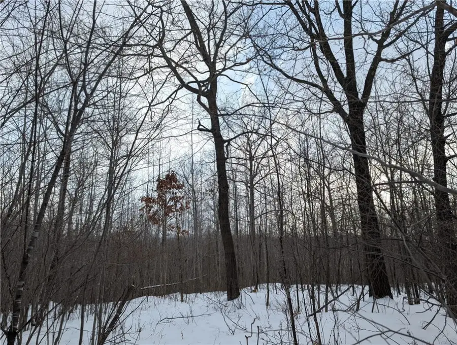 00 155th Ave, Boyd, WI 54726 - Image #3