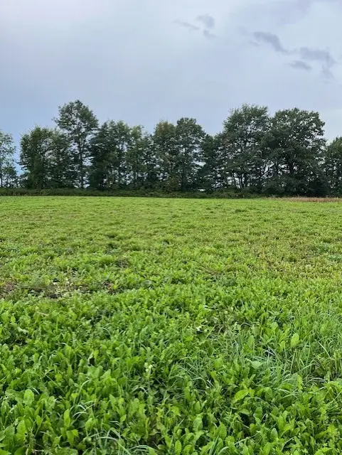 Lot 25 W Hill Street, Thorp, WI 54771 - Image #2