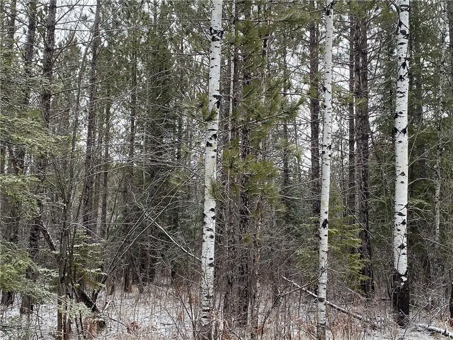 On Sorenson Road, Port Wing, WI 54865 - #2