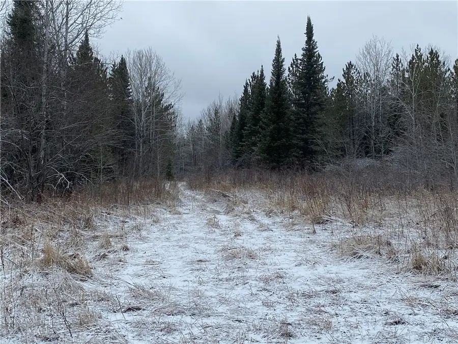 On Sorenson Road, Port Wing, WI 54865 - #3