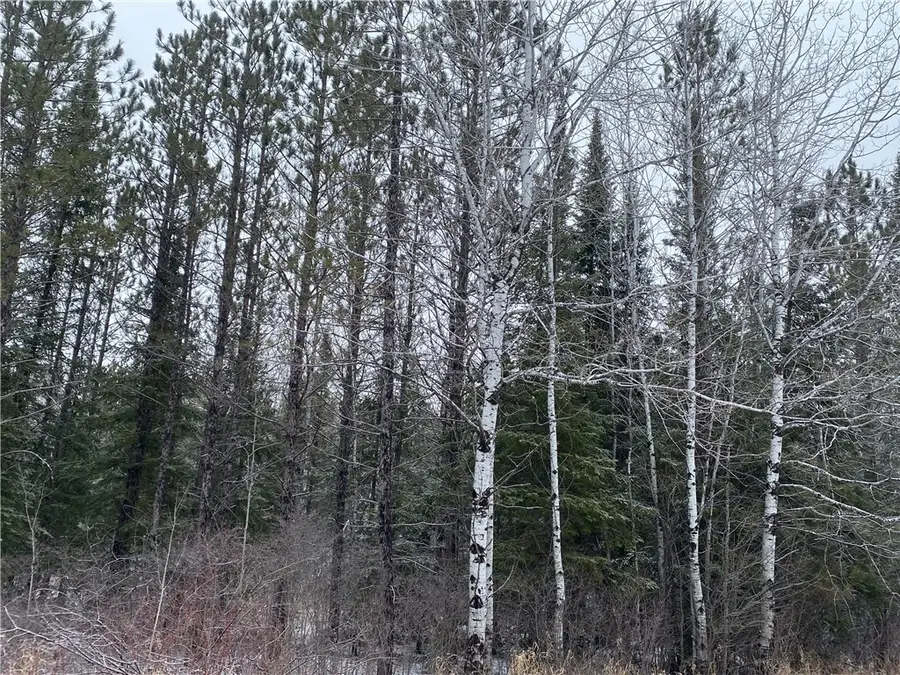 On Sorenson Road, Port Wing, WI 54865 - #2