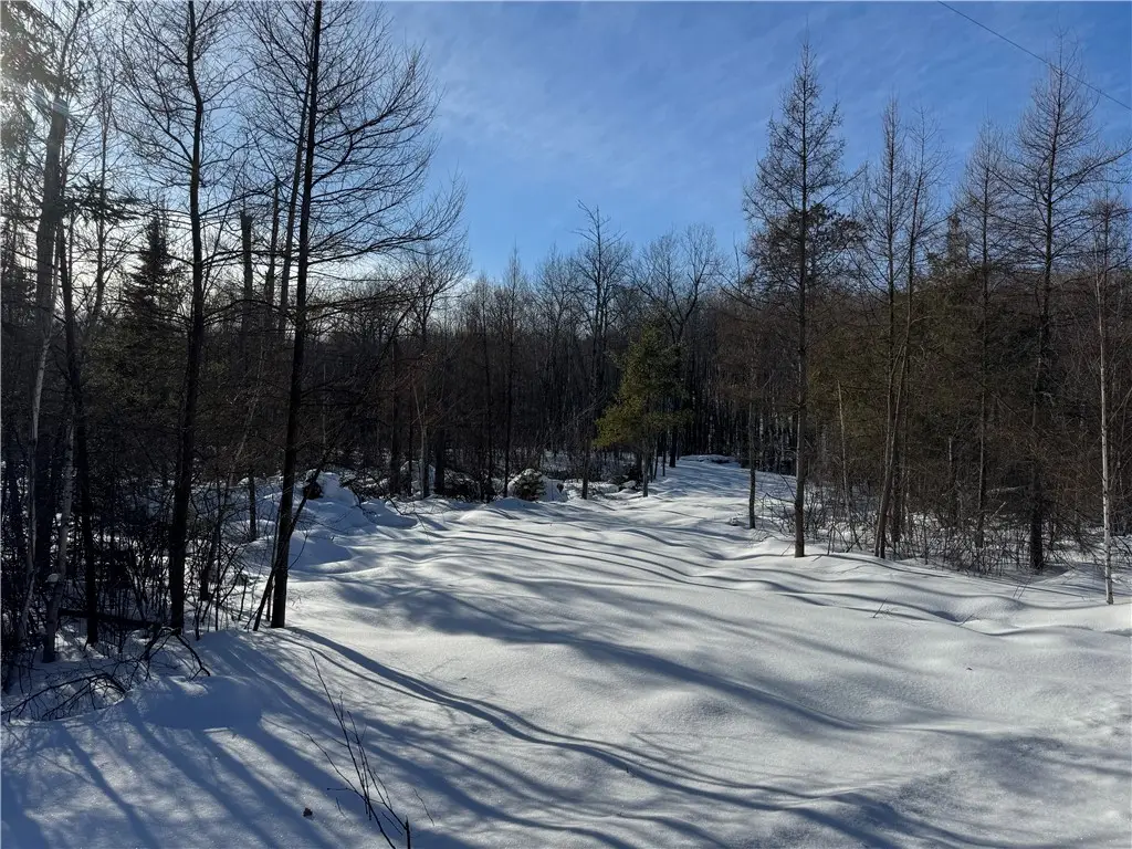 Lot 2 Eaton Road, Hayward, WI 54843 - #1