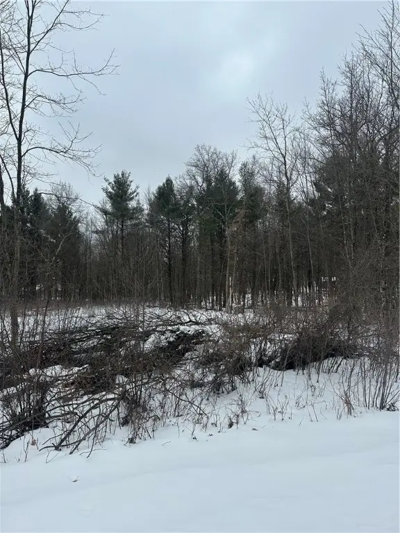 Lot 20 Betty Lane, Black River Falls, WI 54615 - #1
